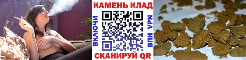 Купить Великие Луки Гашиш Premium