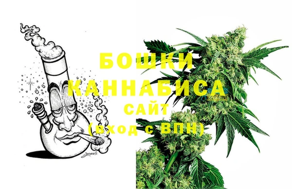 дурь Карпинск