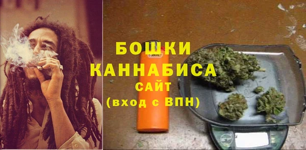 дурь Карпинск