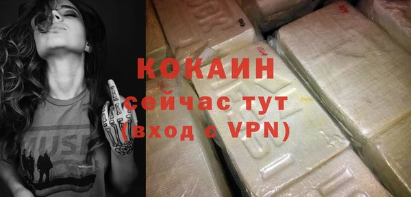 дурь Карпинск