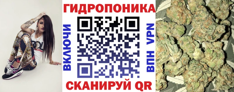 Бошки марихуана AK-47  Купить закладки  Великие Луки 
